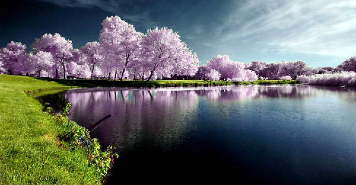 প্রাইম আইটি ওয়ার্ল্ড নিউজ-২৩ ডেমো ভিডিও ফোর