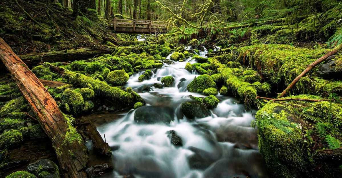 প্রাইম আইটি ওয়ার্ল্ড নিউজ-২৩ ডেমো ভিডিও ফাইভ