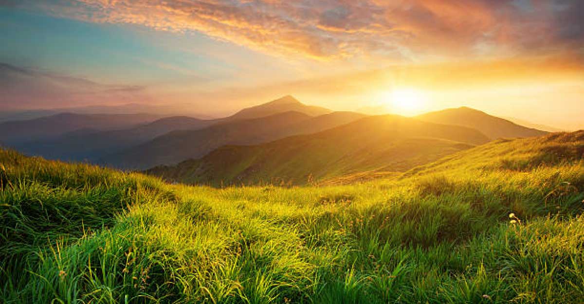 প্রাইম আইটি ওয়ার্ল্ড নিউজ-২৩ ডেমো ভিডিও থ্রী