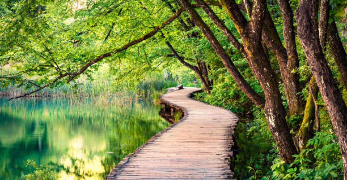 প্রাইম আইটি ওয়ার্ল্ড নিউজ-২৩ ডেমো ভিডিও ওয়ান