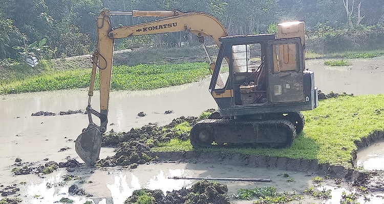 চাঁদপুরে ভেকু দিয়ে কৃষি জমির মাটি কাটার হিড়িক