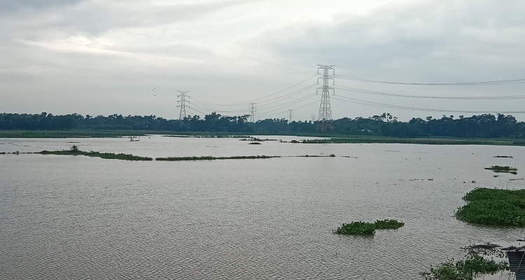 কচুয়ায় টানা বৃষ্টিতে তলিয়ে যাওয়া কৃষক রবিউলের মাছের পুকুর। টানা বৃষ্টিতে স্বপ্ন ধুলিস্যাৎ মৎস্য ব্যবসায়ী রবিউলের