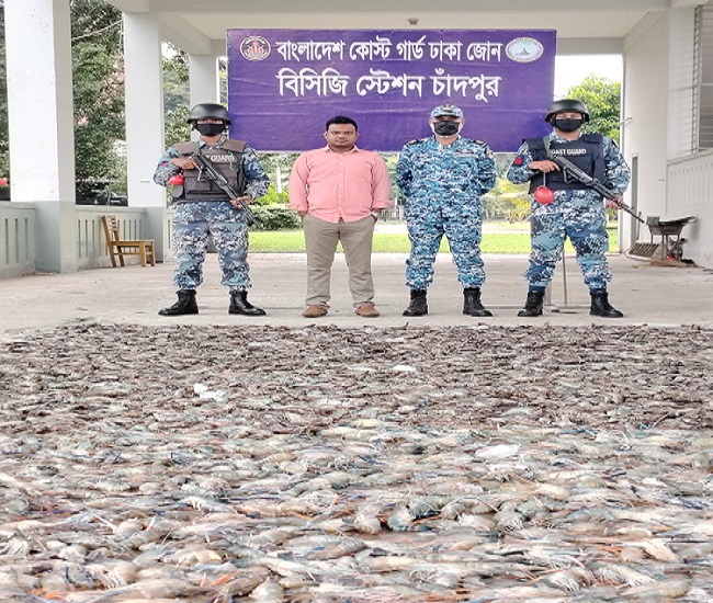 হাজীগঞ্জে ৪৫ মণ জেলিযুক্ত চিংড়ি জব্দ