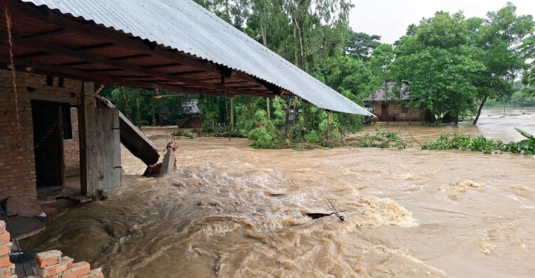 ‘স্বপ্নের ঘর ভেসে গেলো, কিছুই করতে পারলাম না’