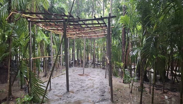 রাতের আঁধারে সৃজনকৃত বাগান কেটে ঘর নির্মাণ