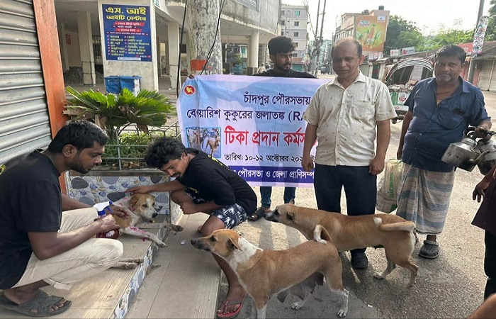 চাঁদপুর পৌরসভায় পথকুকুরকে দেয়া হচ্ছে জলাতঙ্ক টিকা