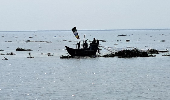 চাঁদপুরের পদ্মা-মেঘনায় ২২ দিন মাছ ধরায় নিষেধাজ্ঞা