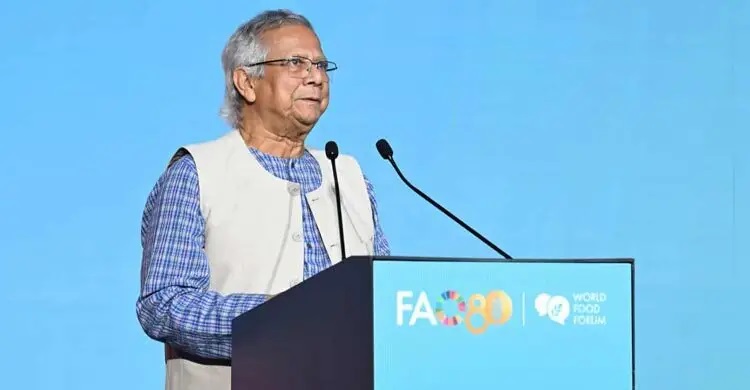 ১৭ কোটি মানুষকে খাওয়াই, আশ্রয় দিচ্ছি ১৩ লাখ রোহিঙ্গাকে